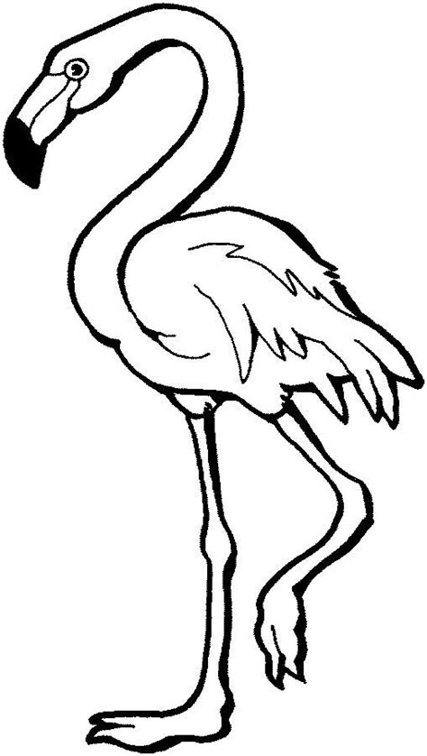 Desenho de Flamingo bonito para colorir   Tudodesenhos