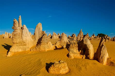 Desierto De Los Pináculos, Australia Occidental Foto de ...