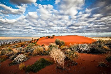 Desierto de Simpson  Australia  6 | Places to go, Places, To go