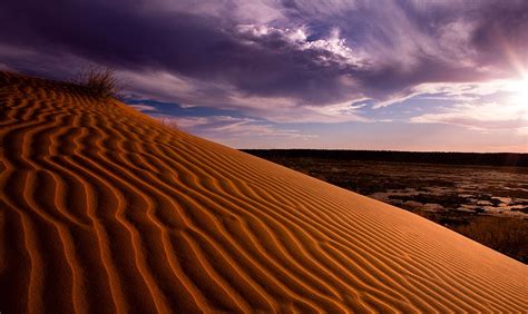 Desierto de Simpson  Australia  7 | Desierto de simpson, Desierto, Arena