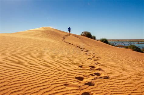 Desierto De Simpson, Outb De Australia Foto de archivo   Imagen de ...