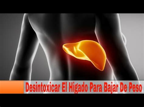 Desintoxicar El Higado Para Bajar De Peso: Como Desintoxicar El Higado ...