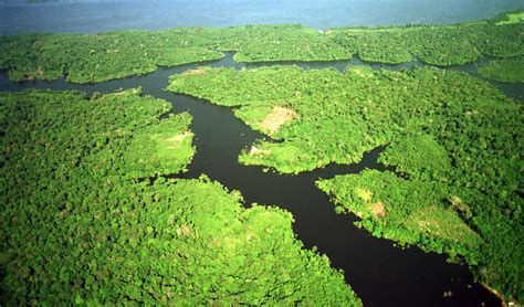 Desmatamento da Amazônia cresce 29% em 2016 | Brasil 24/7