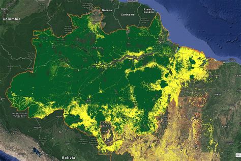 Desmatamento na Amazônia em julho cresce 278% em relação ...