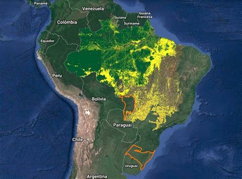 Desmatamento Na Amazônia Em Junho Equivale a 100 Mil ...