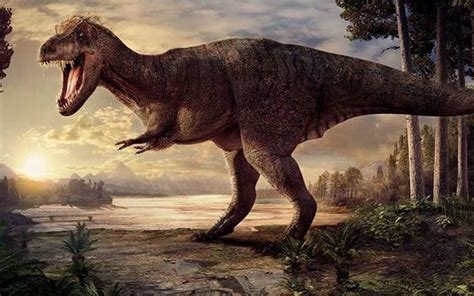 Desmienten científicos que Tiranosaurio Rex tenía plumas   Diario de ...