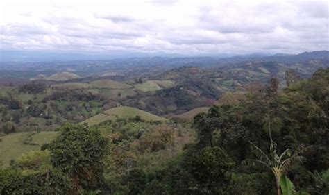 Desplazamiento interno en municipio de Morales, Cauca | RCN Radio