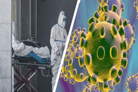 Detectan primer caso de coronavirus en Estados Unidos ...