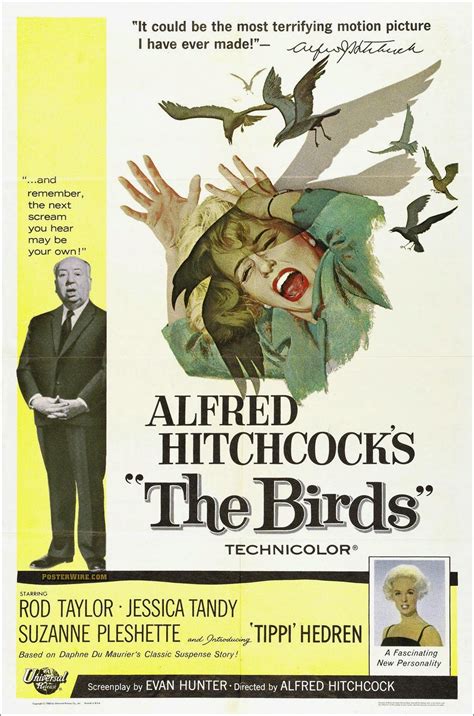 Detrás de las Cámaras: Los pájaros de Hitchcock detrás de ...