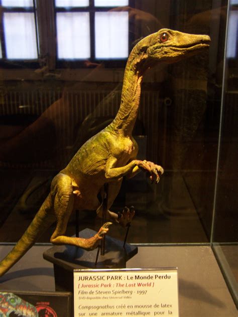 Deux reliques de la saga Jurassic Park exposées à Lyon ...