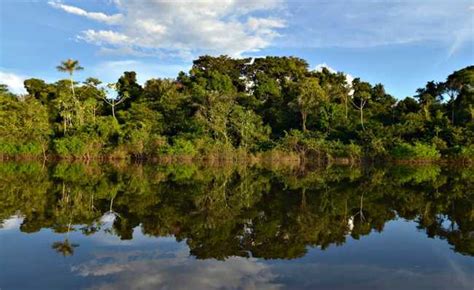 Dia da Amazônia: 5 de setembro é para reflexão