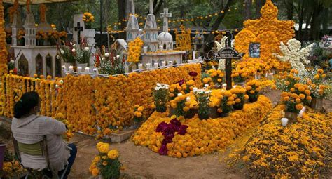 Día de los Muertos | Halloween | Coronavirus en México ...