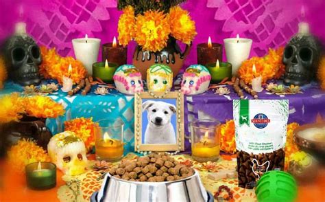 Día de Muertos para mascotas; celebración mexicana del 27 ...