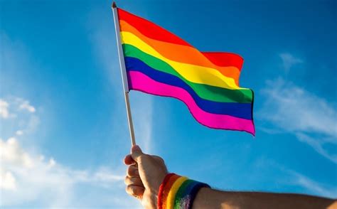 Día Internacional contra la Homofobia y Transfobia: ¿Por ...