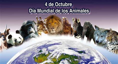 Día Mundial de los Animales: Por qué se celebra el día de hoy | ONU ...