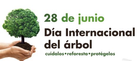 Día Mundial del Árbol | 28 de Junio【Resumen】