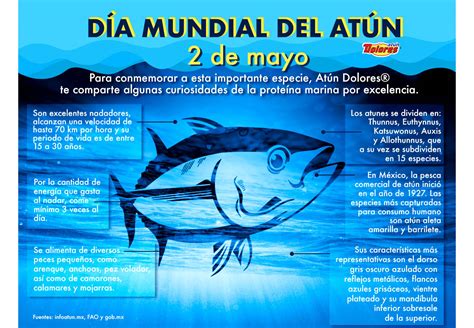Día Mundial del Atún, proclamado por la ONU, el 2 de mayo   Conexion 360