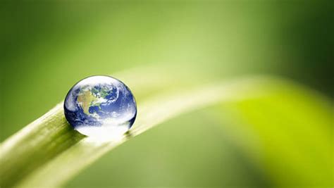 Día Mundial del Medio Ambiente 2020 Es hora de la ...