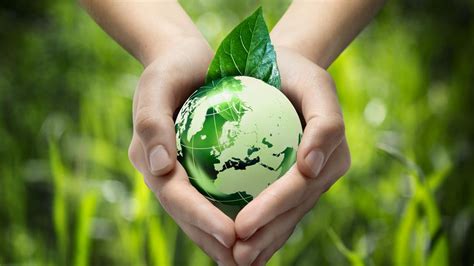 Día Mundial del Medio Ambiente: cómo cuidar el planeta
