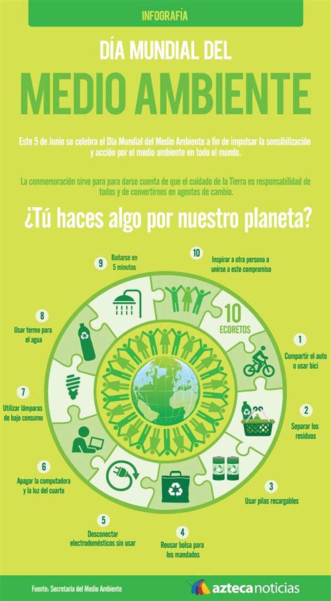 Día Mundial del Medio Ambiente   Infografia   www ...