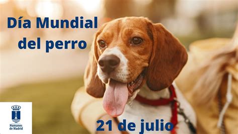 Día Mundial del perro | Ayuntamiento Humanes de Madrid