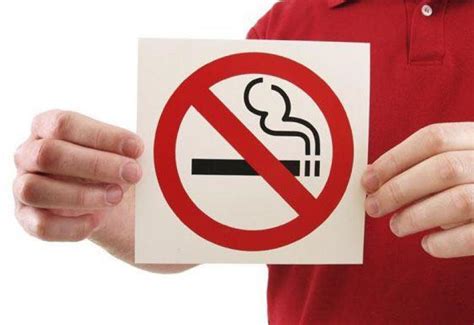 Día Mundial sin Tabaco: las estrategias de ventas ante la prohibición ...