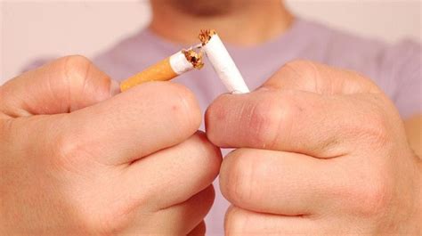 Día Mundial Sin Tabaco: un manual para dejar de fumar – Cadena 365 ...