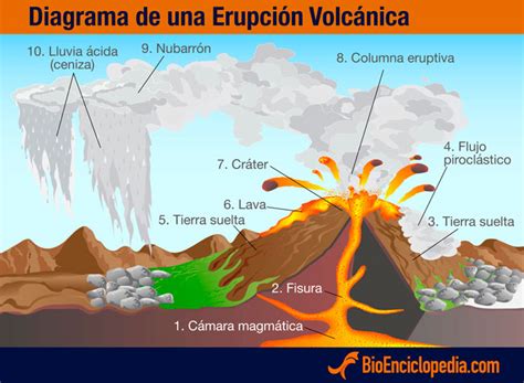 diagrama erupcion volcanica | Información y ...