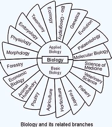 Diagrams Of Biology