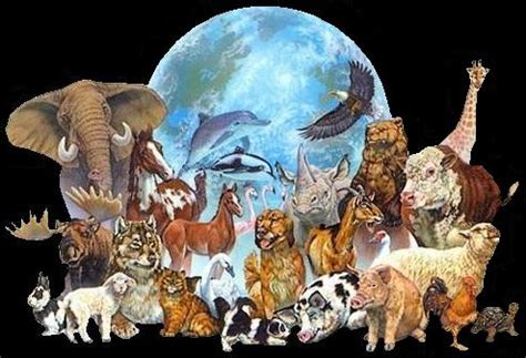 Diana Teran : TODOS LOS ANIMALES UNIDOS EN EL MUNDO ...