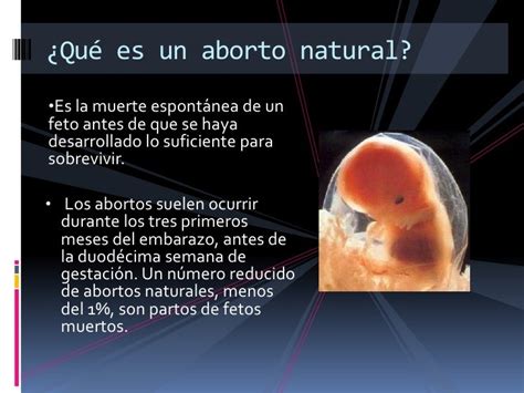 Diapositivas de exposicion del aborto