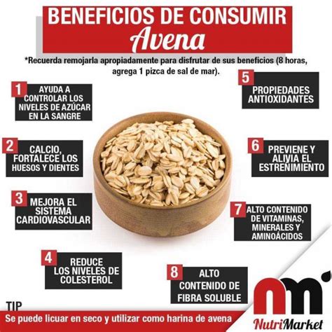diario21.tv   Leche de avena, la bebida a base de uno de los cereales ...
