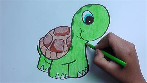 dibujando y pintando a una tortuga   drawing and painting ...