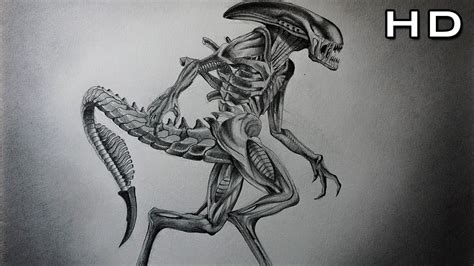 Dibujo a Lápiz de Alien Covenant Xenomorph   FanArt ...