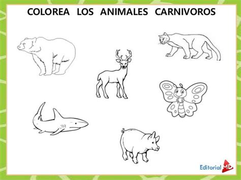Dibujo Animales Carnivoros Imagenes   heartfeltblurbs.blogspot.com