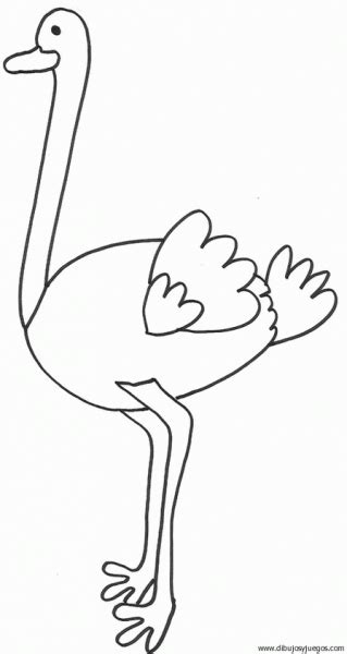 dibujo de avestruz 010 | Dibujos y juegos, para pintar y ...