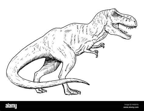 Dibujo de dinosaurio   mano boceto de Tyrannosaurus rex, ilustración en ...