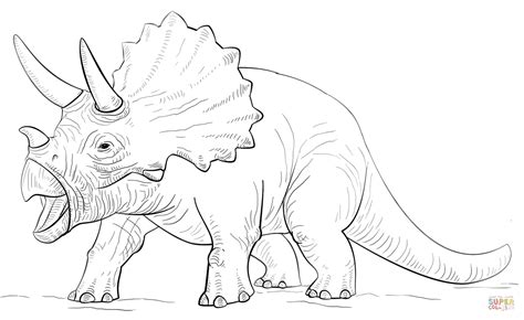 Dibujo de Dinosaurio triceratops para colorear | Dibujos ...