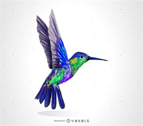 Dibujo de pájaro colibrí   Descargar vector