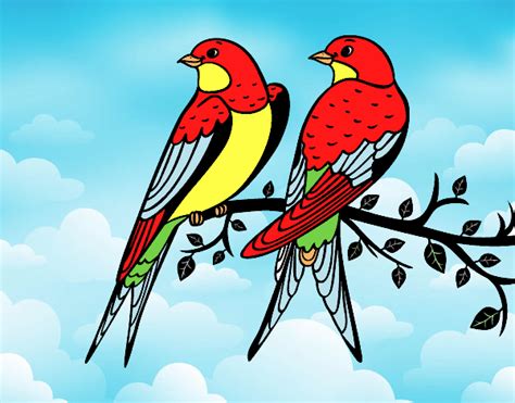 Dibujo de Pareja de pájaros pintado por Kevin dpc en ...
