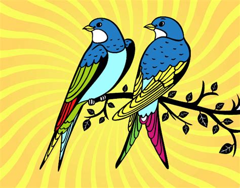 Dibujo de Pareja de pájaros pintado por Pristila en ...