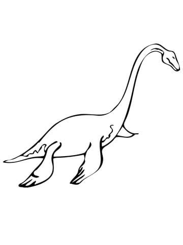 Dibujo de Reptil Marino del Mesozoico Pleasiosaurio para colorear ...