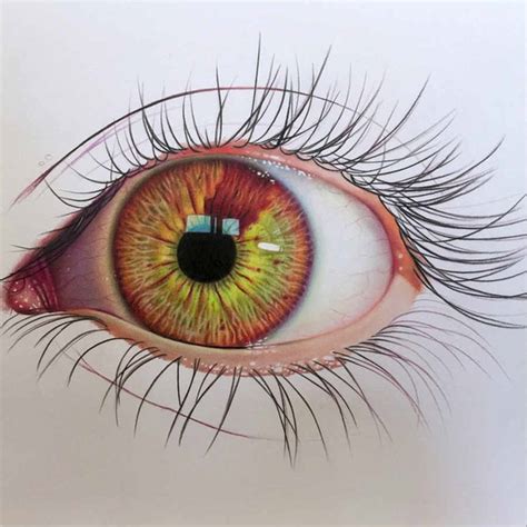 Dibujo de un ojo realista hecho con acuarelas