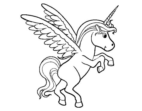 Dibujo de Unicornio joven para Colorear   Dibujos.net