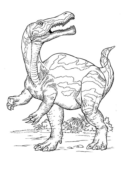Dibujo para colorear   Caza dinosaurio