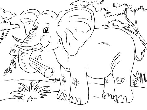 Dibujo para colorear elefante   Dibujos Para Imprimir ...