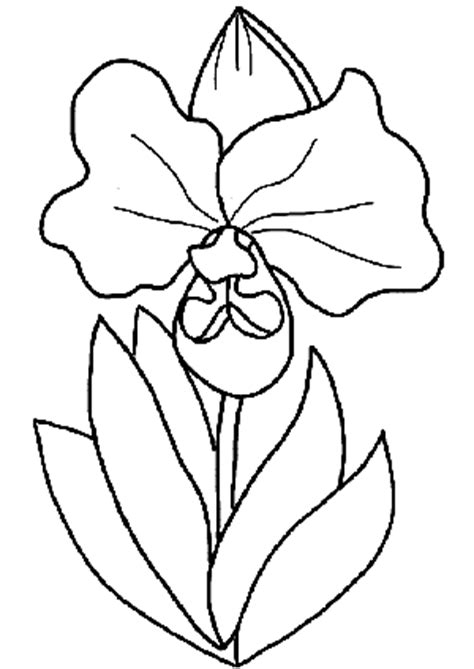 Dibujo para colorear: flor | Recurso educativo 103499 ...