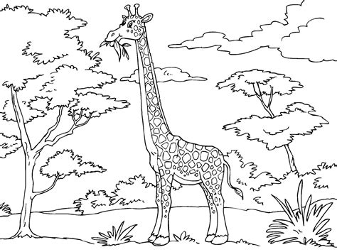 Dibujo para colorear jirafa   Dibujos Para Imprimir Gratis ...