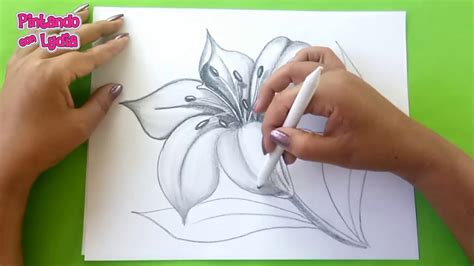 Dibujos A Lápiz Como Dibujar Una Flor / How To Draw A ...