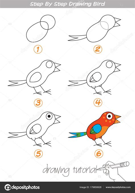 Dibujos: angeles faciles | Paso a paso dibujo de pájaro — Vector de ...